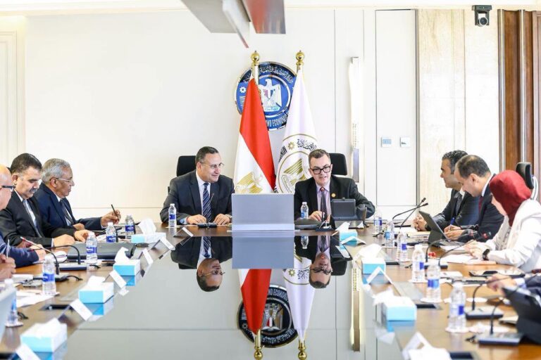 الحكومة تعمل على عدة مسارات متوازية تشمل إنشاء وحدة لريادة الأعمال تتبع مجلس الوزراء.