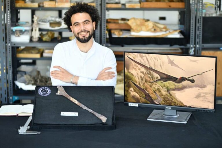 يكتسب الاكتشاف أهمية خاصة نظراً لندرة حفريات التيروصورات عالمياً، كما يسد فجوة في سجل انتشار هذه الزواحف الطائرة.